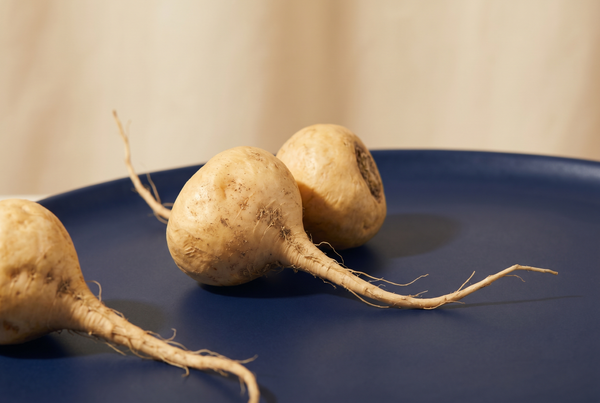 Maca root